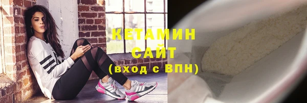 амф Дмитриев