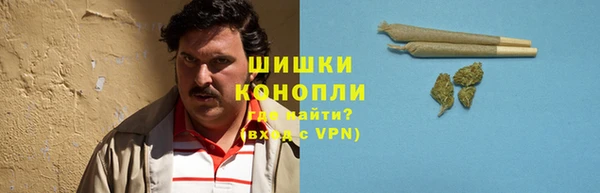 амф Дмитриев