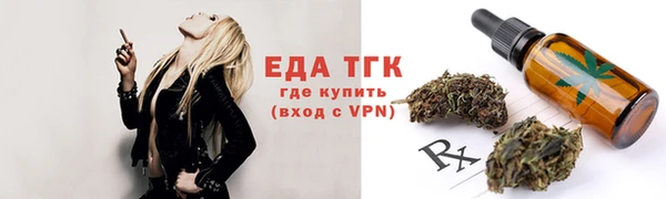 амф Дмитриев