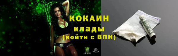 амф Дмитриев