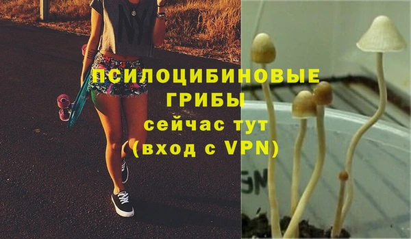 амф Дмитриев