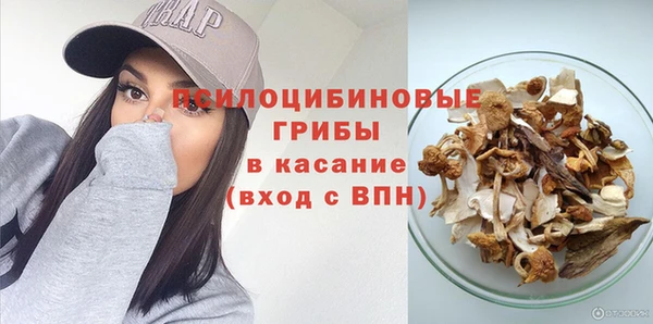 амф Дмитриев