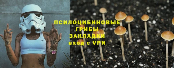 амф Дмитриев