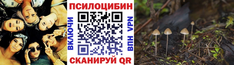 Купить  Каргополь  Галлюциногенные грибы Magic Shrooms 